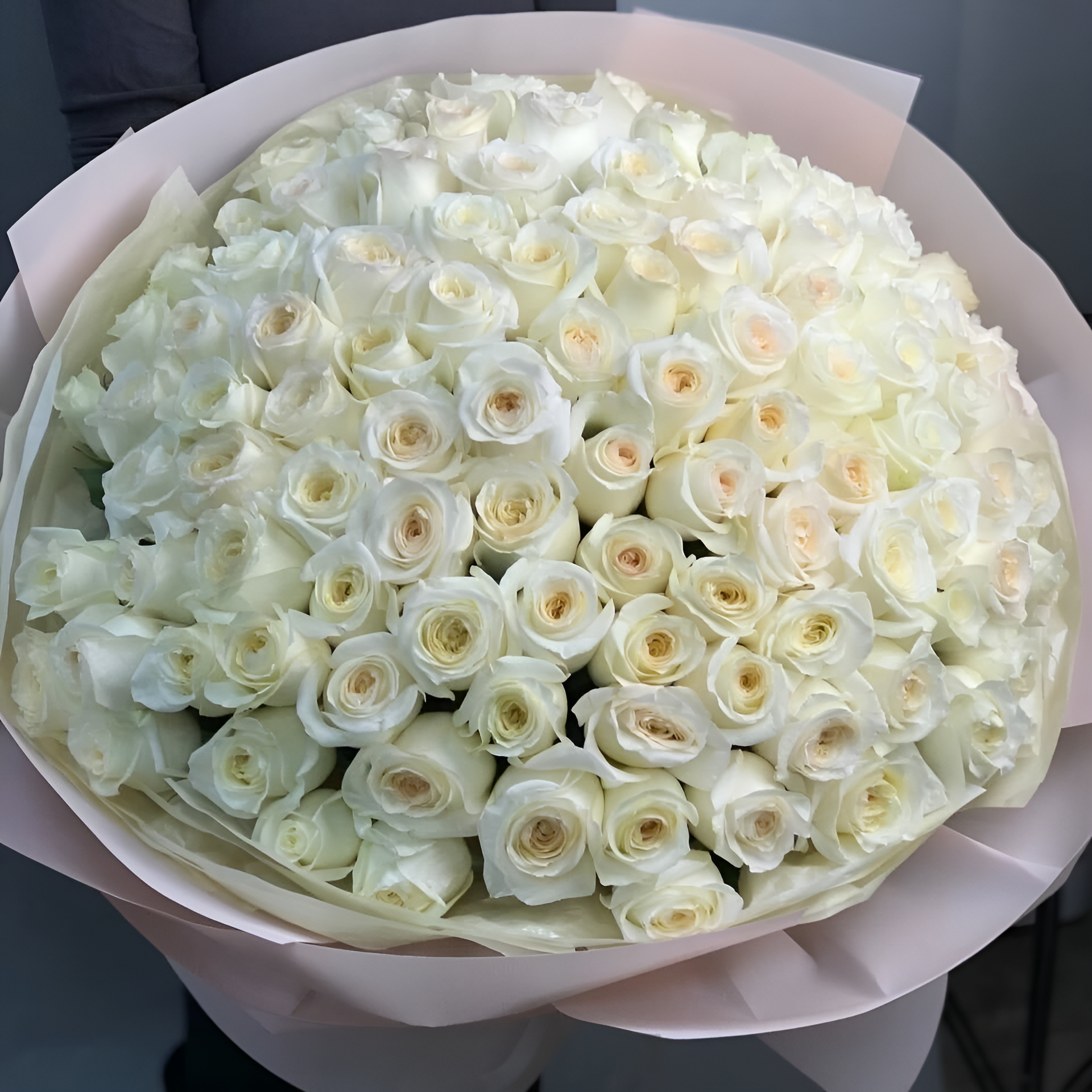 150 White Roses Valentine's Day