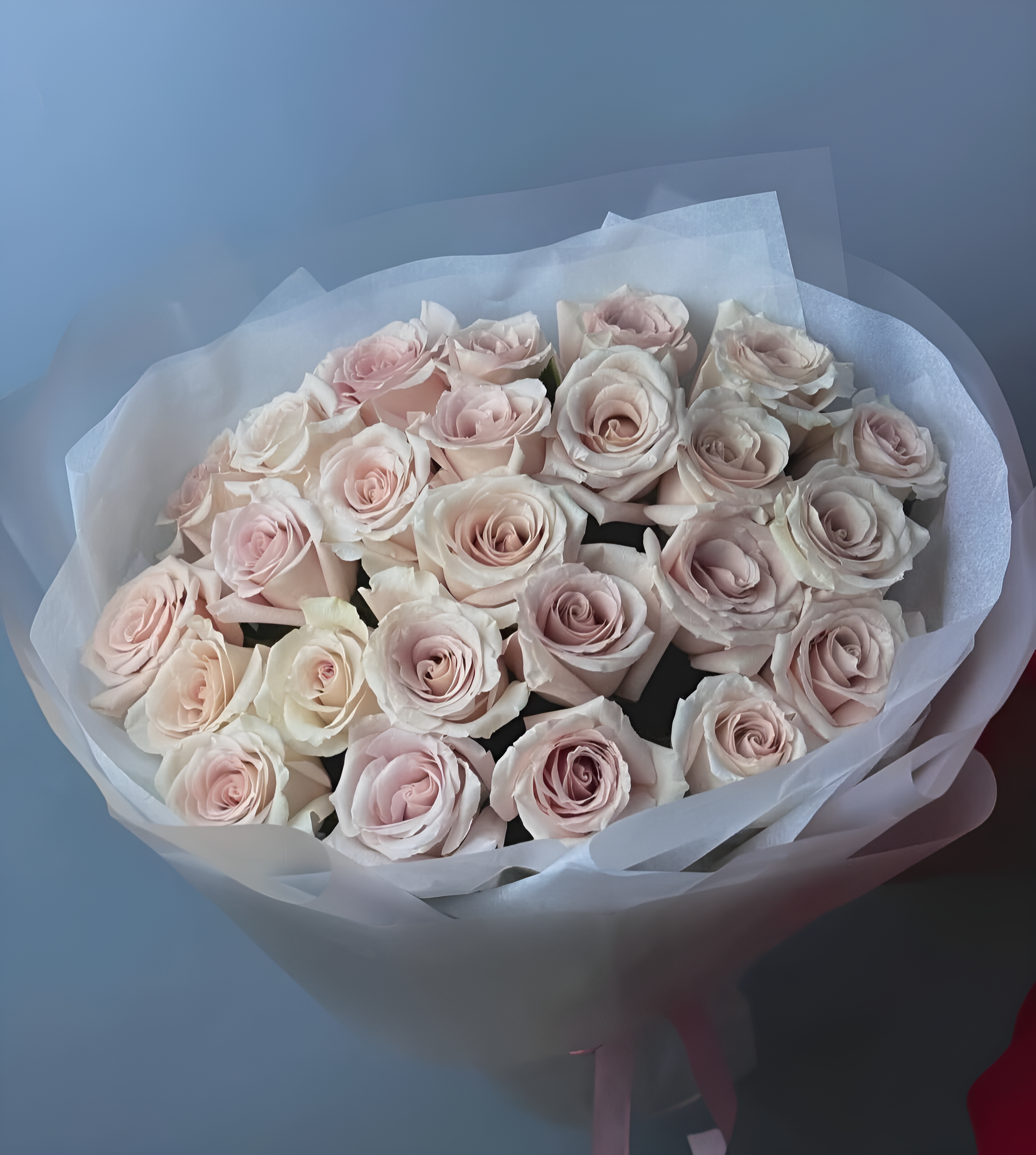 25 Pastel Roses Valentines Day