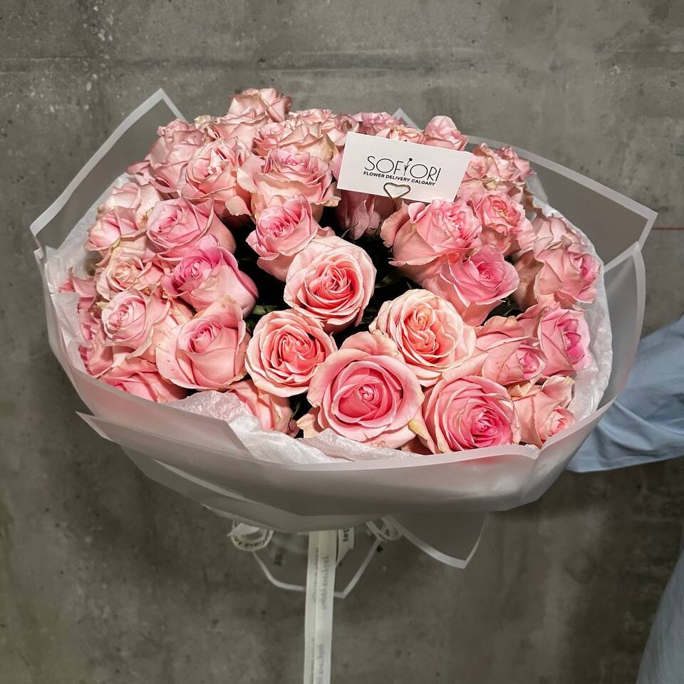 Pink Roses 50 stem e1737267003619