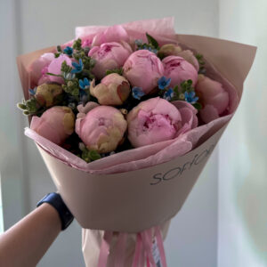 15 Peony & Oxypetalum Celebration - Top Calgary Florist