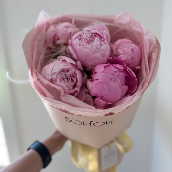 5 stems of pink peonies, a Calgary flower delivery from a top florist.